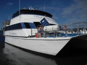 Cairns : Reef Expérience pour plonger dans la Grande barrière de corail